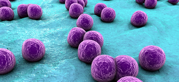 3D Rendering of Microbial Bacteria