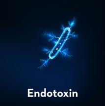Endotoxin Photo