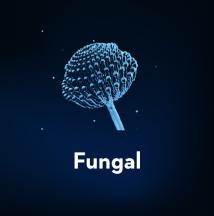 Fungal Photo