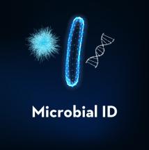Microbial ID Photo