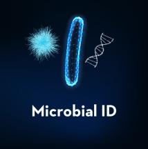 Microbial ID Photo